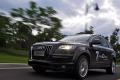 奧迪(進口) 奧迪Q7 2011款 3.0 TFSI 專享型(245kW)