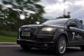 奧迪(進(jìn)口) 奧迪Q7 2011款 3.0 TFSI 專(zhuān)享型(245kW)