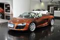 奧迪(進口) 奧迪R8 2011款 Spyder 5.2 FSI quattro