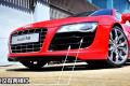 奧迪(進口) 奧迪R8 2010款 5.2 FSI quattro