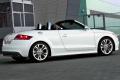 奧迪(進口) 奧迪TT 2011款 TTS Roadster 2.0TFSI quattro