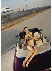 BMW與比基尼美女