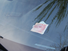 感受春天的氣息  自駕游出行防盜指南