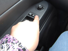 感受春天的氣息  自駕游出行防盜指南