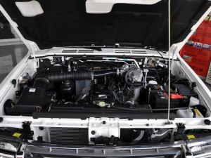 獵豹黑金剛 2009款 2.4L 手動四驅