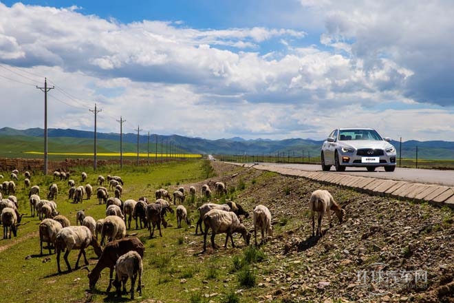 2014款2.0T豪華運動版