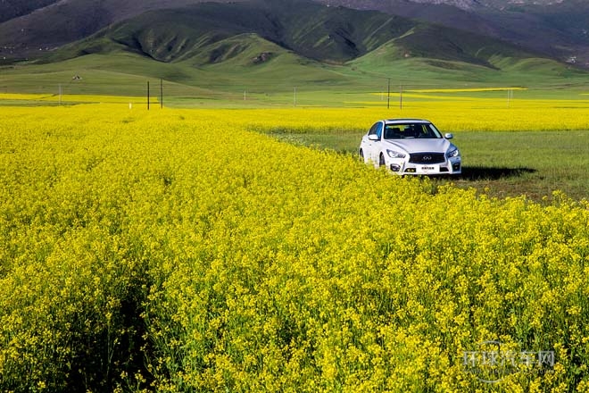 2014款2.0T豪華運動版