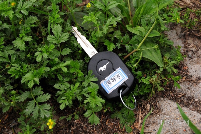 2013款 3.7L 手動標準型