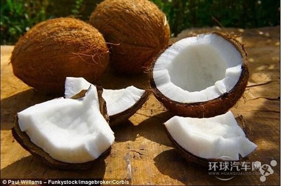 椰芯可存儲(chǔ)氫氣用于制造新一代氫動(dòng)力汽車(chē)