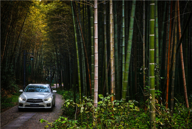 2015款 2.0T 豪華運動版