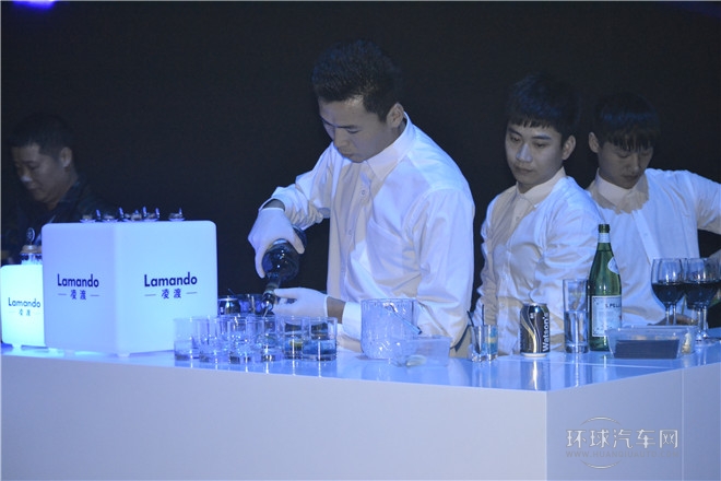 2015款 330TSI DSG豪華版