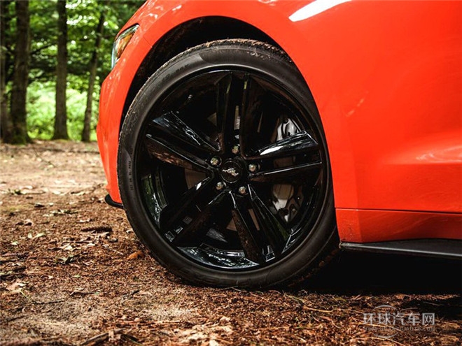 2015款 5.0L GT 運動版