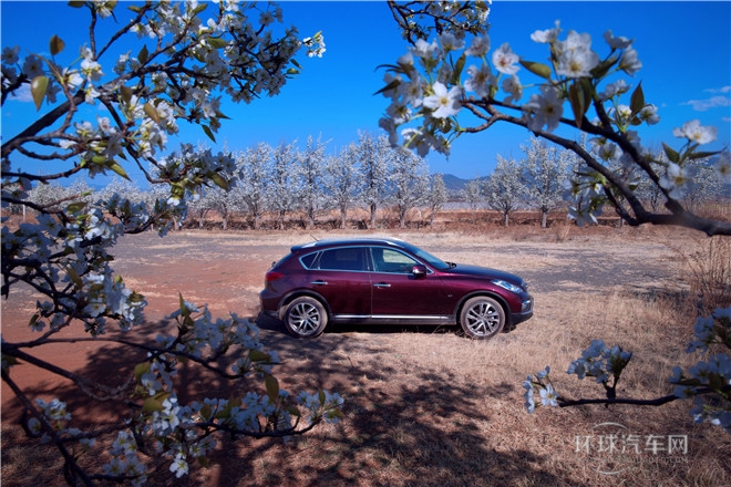 2015款 2.5L 尊享版