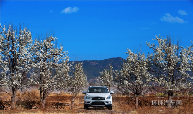 2015款 2.5L 尊享版