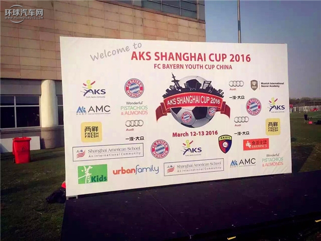 奧迪A6(進口) 2015款 allroad quattro