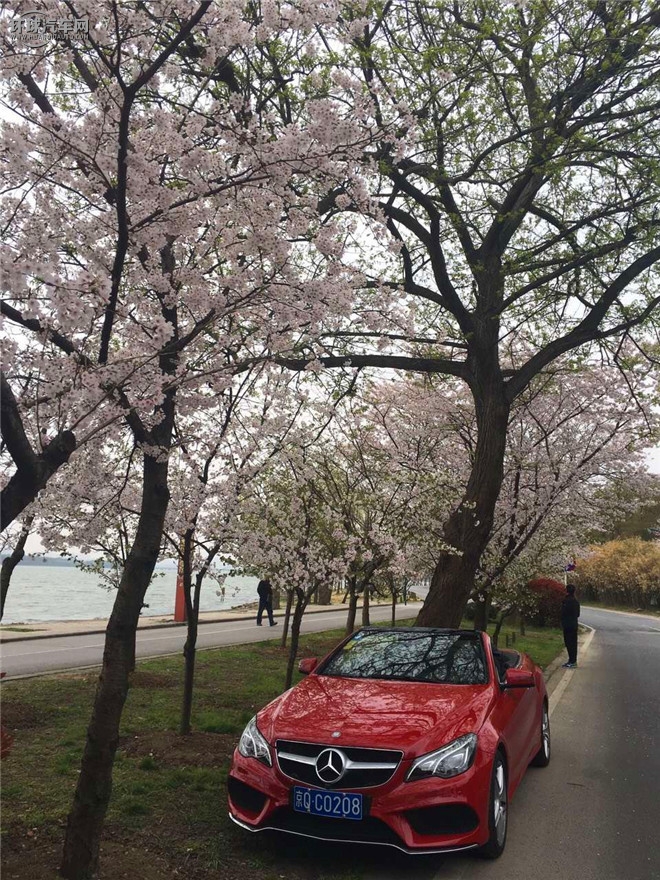 凌特 2016款 2.1T暢旅 中軸版