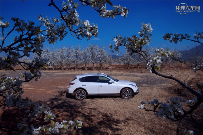 英菲尼迪（進口）/英菲尼迪QX50/2.5L 四驅尊雅版