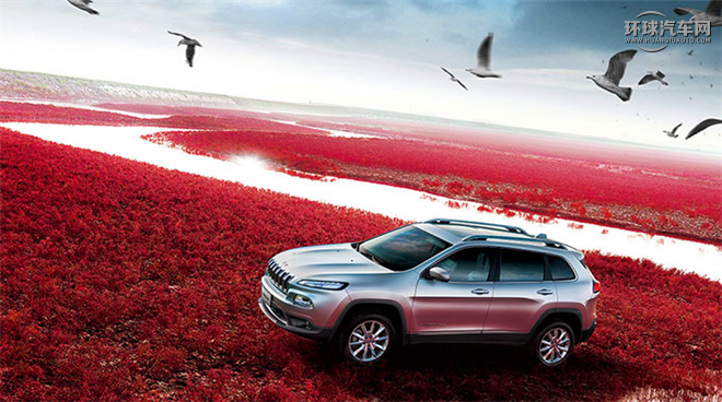 2016款 2.4L 專業(yè)版