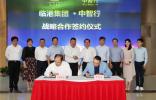 共推智能出行，臨港集團與中智行確立戰略合作