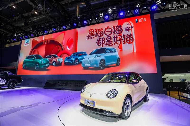 專訪喵星人院長余飛：解碼歐拉玩出圈的秘密