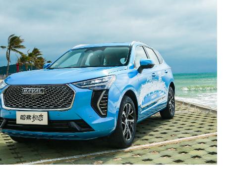 滿(mǎn)足全家的哈弗初戀就是好男人的浪漫