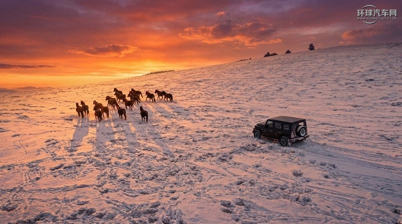 1765677390390513.jpg 微信圖片_20251212193218_1339_137.jpg