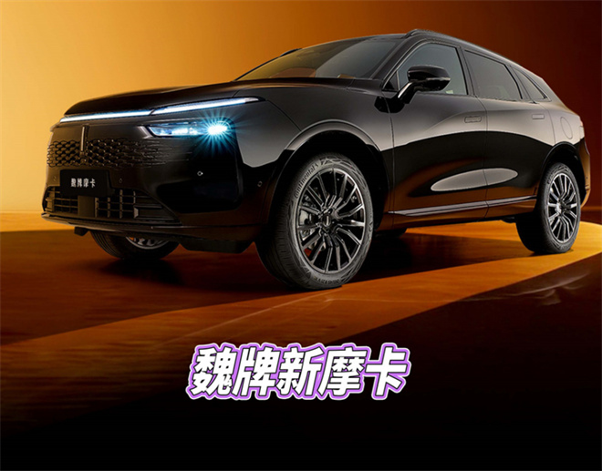 魏牌黑武士，21年較真出來的“暗黑騎士”